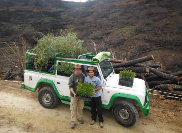  Discovering the environment 